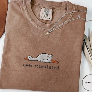 May include: Espresso-coloured Comfort Colors t-shirt featuring an embroidered graphic of a relaxed duck and the word "overstimulated". A silver necklace with a small pendant rests on the shirt. The shirt is folded, with a brown hat and dried leaves in the background.
