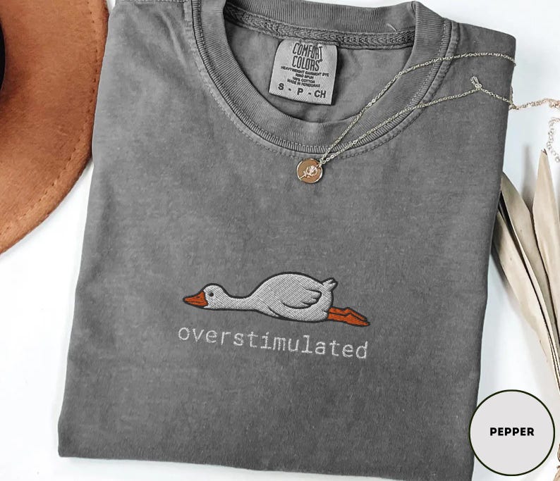May include: A grey Comfort Colors t-shirt featuring the word "overstimulated" embroidered beneath a cartoon goose. A silver necklace with a pendant lies on the shirt. The t-shirt is size small.