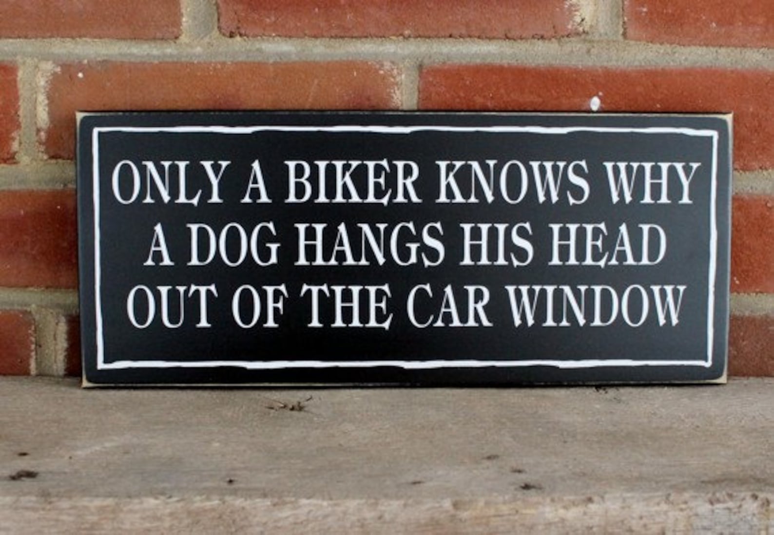 Only bike. Only Bikers understand why Dogs do that.