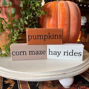 May include: Three rectangular wooden blocks with the words "pumpkins", "corn maze", and "hay rides" in black lettering. The blocks are in shades of orange, beige, and white. A large orange pumpkin is in the background, suggesting a fall theme.