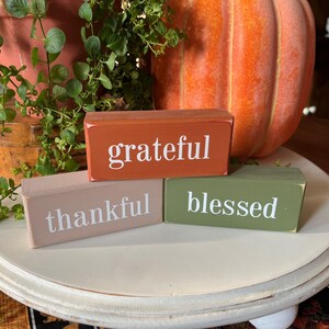 May include: Three wooden blocks with the words "grateful", "thankful", and "blessed" in white lettering. The blocks are in shades of orange, tan, and green. A large orange pumpkin and greenery are in the background.