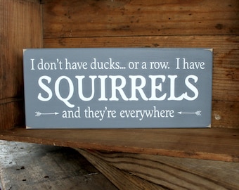 I don't have Ducks or a row I have Squirrels and they're everywhere, Funny Sign, Handcrafted