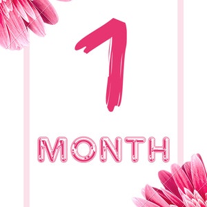 Maandelijkse mijlpaalkaarten roze cijfers • Afdrukbaar • Babyshower cadeau • 5x7 Set 1-12, Verjaardag, Aandenken, Baby Poster Grafiek, Baby Tracker NewBorn