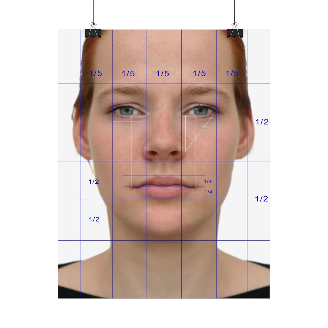 Proportion Visual Aid Plastic Surgery Consultation Poster, the Perfect Proportions of the ...
