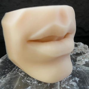 Lips for Cosmetic Practicing of Injections and Piercing, 3D Silicone Model for Cosmetic Training, Lips Display Model