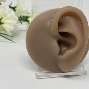 May include: A close-up of a realistic-looking ear mold, made of a light brown silicone material. The ear is displayed on a clear acrylic stand.