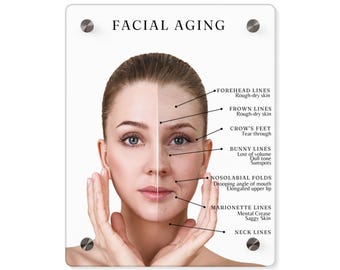 Facial Aging Acrylic Wall Art Panel, Nurse Injector MedSpa Display, Beauty Salon Cosmetology Acrylic Board