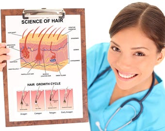 Science of Hair Digital Download, Aesthetic Clinic Beauty Salon Hairdresser Consultation Tool Wall Display, Wall Poster Digital File