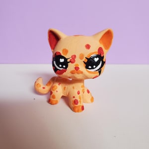 lps custom shorthair
