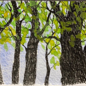 ACEO Art Tree for the Forest - Original Watercolor and Pen and Ink