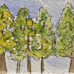 ACEO Art Line of Spring Trees - Original Watercolor and Pen and Ink