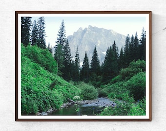 Montana Mountain Stream Photo Print, Valley View, Pine Forest Art