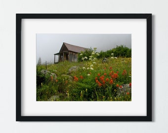 Colorado Photography, Dreamy Cabin Print, Wildflowers, Durango, Animas Forks, Silverton Colorado, Rustic Wall Art