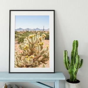 Fuzzy Kaktus Wand Kunst Druck - Lebendige Fotografie der Wüste im Südwesten für eine farbenfrohe, moderne Einrichtung
