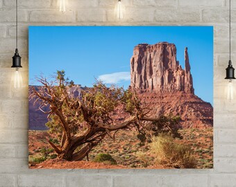 Monument Valley Wacholder, Arizona Fotodruck