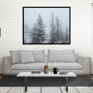 Snowy Winter Forest Photo Print, Idaho Nature Photography, Frosted Trees, Pacific Northwest Forest Art, Wilderness Decor, St Joe Forest