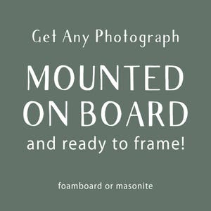 May include: Get any photograph mounted on board and ready to frame! Foamboard or Masonite.