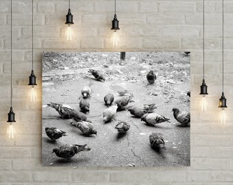Pigeons in Palermo Art Print, Buenos Aires Street Photography