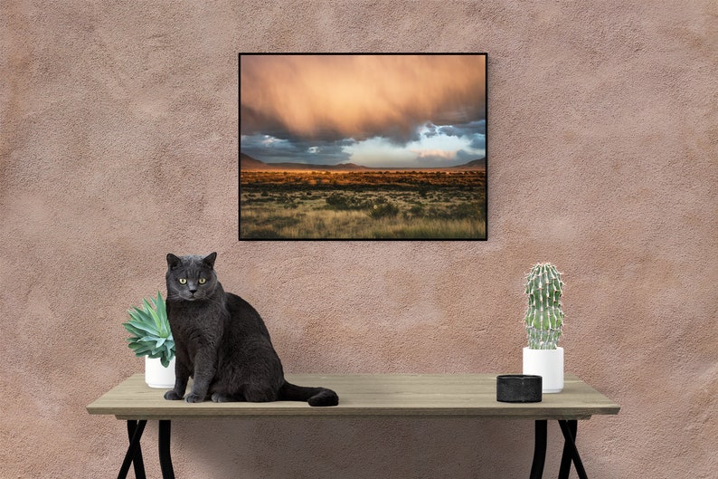 Stormy Desert Photo Print, Southwest Photography, Weather Landscape ,New Mexico Scenery, Valley of Fire Storm Clouds image 2