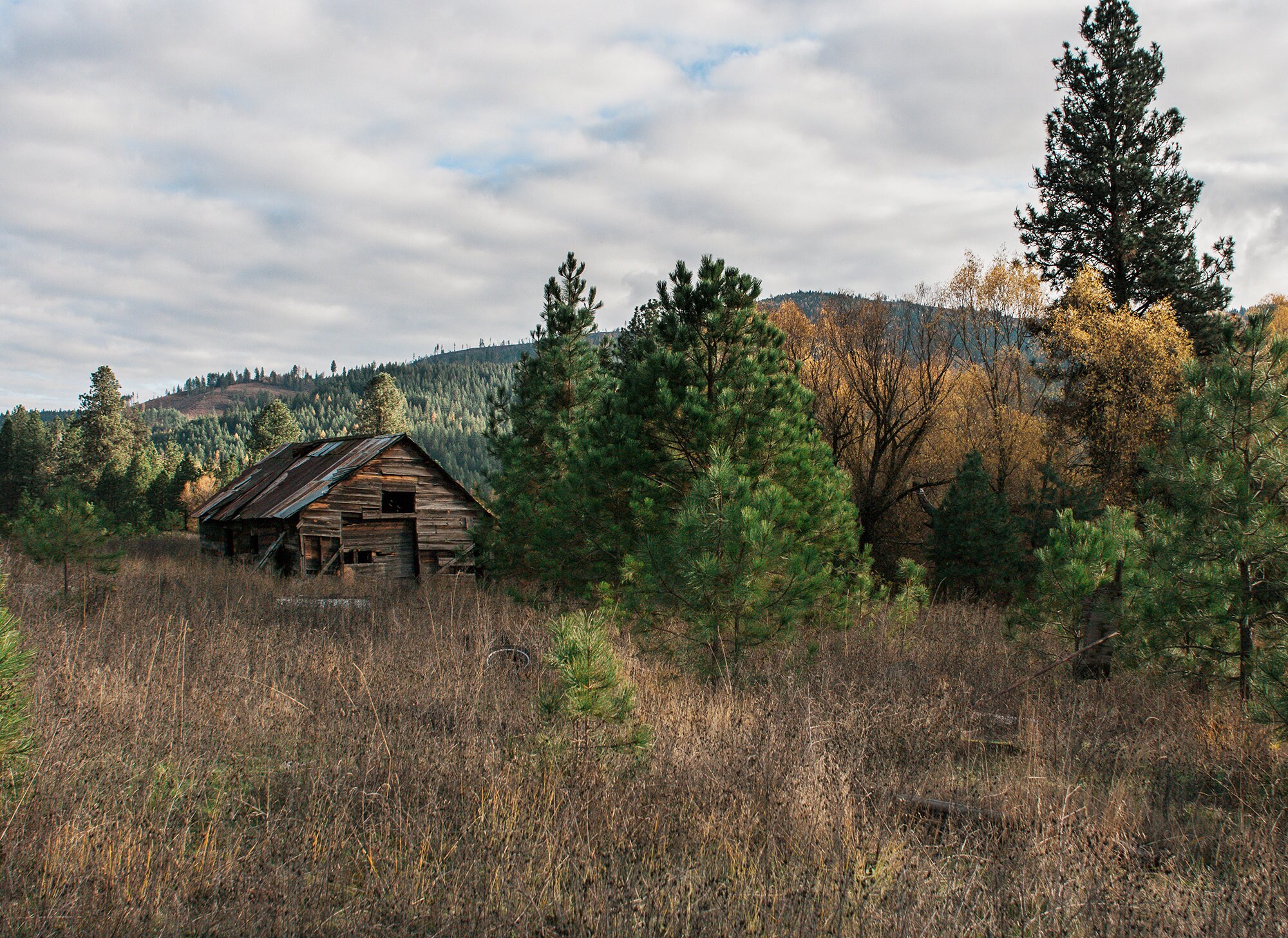 Idaho Cabin Photography Impresion De Bellas Artes Arte Etsy