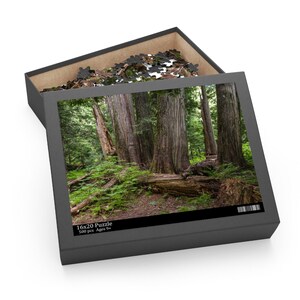 Cedar Grove Jigsaw Puzzle, 252 or 500 Piece - Lush Forest