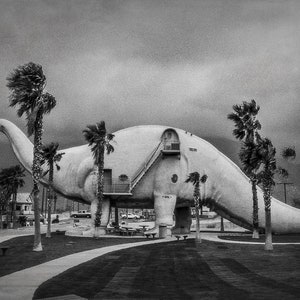 Fotografia surreale in bianco e nero, stampa di dinosauri, fotografia della California, strana arte da parete, casetta di Pee Wees, attrazione lungo la strada immagine 3