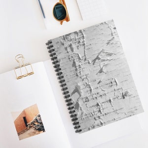 May include: A close-up of a white, textured surface with a pattern of peeling bark. The surface is reminiscent of a birch tree.