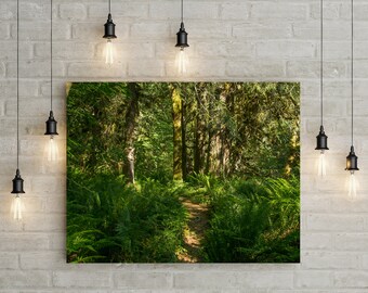Oregon Forest Trail Print, Mossy Woodland Photography
