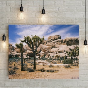 Joshua Tree Photo Print, California Desert Photography