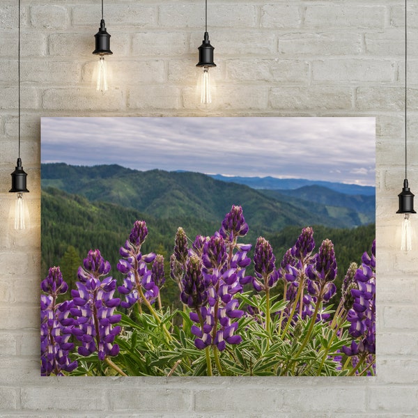 Mountain Wildflowers Photo Print, Spring Scenery, Nature Photography, Purple Lupines, Coeur d'Alene Wilderness, Idaho Mountain Pass