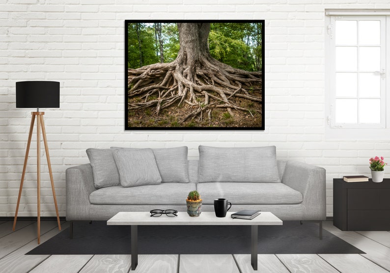 Roots of Life Woodland Nature Photography, Fine Art Print, Tree Roots Print, Colorful Nature Photography, Rustic Decor, Illinois image 4