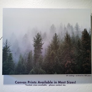 Foggy Mountain Forest Photo Print, Nature Decor, Autumn Wilderness, Wallace Idaho Photography image 6