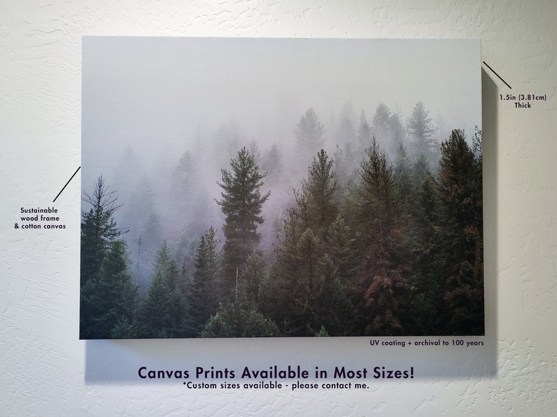 Foggy Mountain Forest Photo Print, Nature Decor, Autumn Wilderness, Wallace Idaho Photography image 6