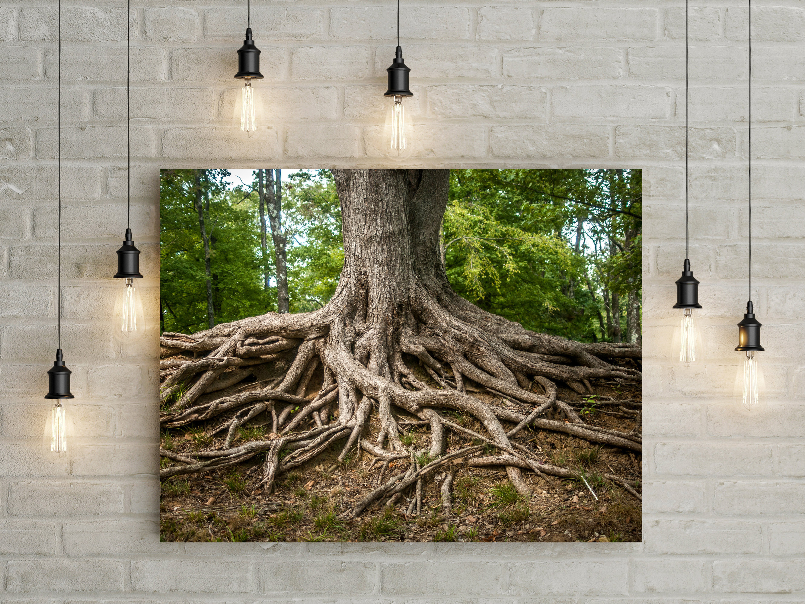 洋楽 JEN WOOD Traveling Through Roots Traveling Through Roots