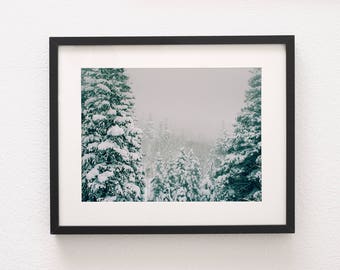 Winter Wall Art, Christmas Mood Decor, Minimalist Print Forest Art Print, Nature Photography, Winter Trees, Snow Storm, Modern Photography