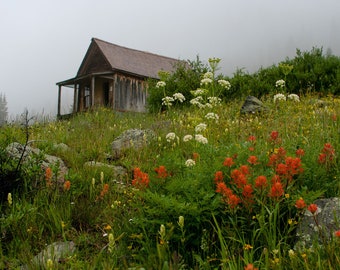 Colorado Photography, Dreamy Cabin Print, Wildflowers, Durango, Animas Forks, Silverton Colorado, Rustic Wall Art