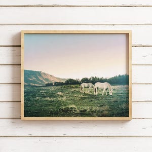Dreamy Horse Photography Print, Child&#39;s Bedroom, Colorado Wall Art, Sunset Photo, Dreamy Art Print, White Horses, Nature Photography, Equine