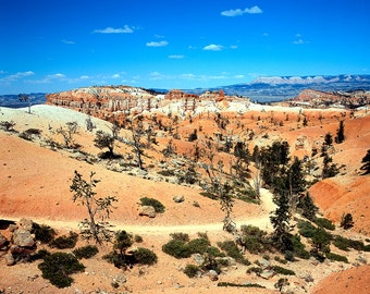 May include: A winding dirt path leads through a desert landscape with red and white rock formations in the distance. The sky is blue with a few white clouds.