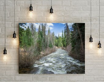 May include: A photograph of a rushing river flowing through a forest. The river is surrounded by trees and bushes, and the water is a light blue color. The sky is blue and there are clouds in the sky.
