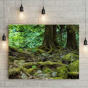 Mossy Woodland Fotodruck, Oregon Wand Kunst Druck, pazifischer Nordwesten Fotografie, grüner Wald, Küste Kunst, Portland Dekor