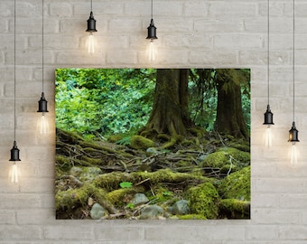 Mossy Forest Photo Print, Oregon Coast, Pacific Northwest Wall Art