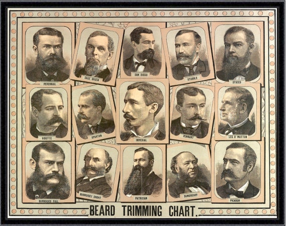 Beard Trimming Chart