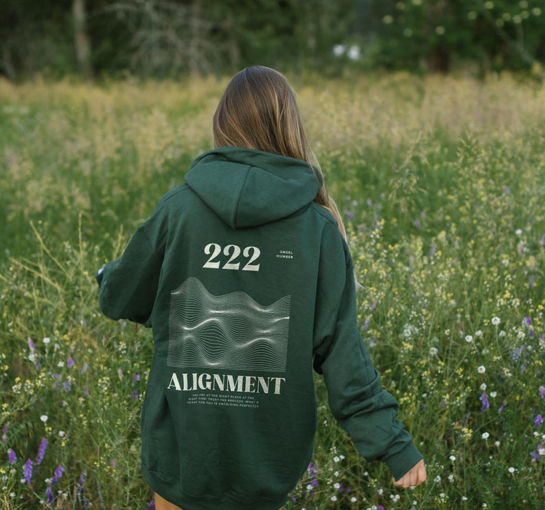 May include: A dark green hooded sweatshirt with the number 222 and the word "ALIGNMENT" printed on the back. The design features a wavy line pattern.