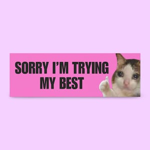 Sorry I'm Trying My Best Bumper Sticker | funny bumper sticker, funny car magnet, girly bumper sticker, anxious driver, meme bumper sticker