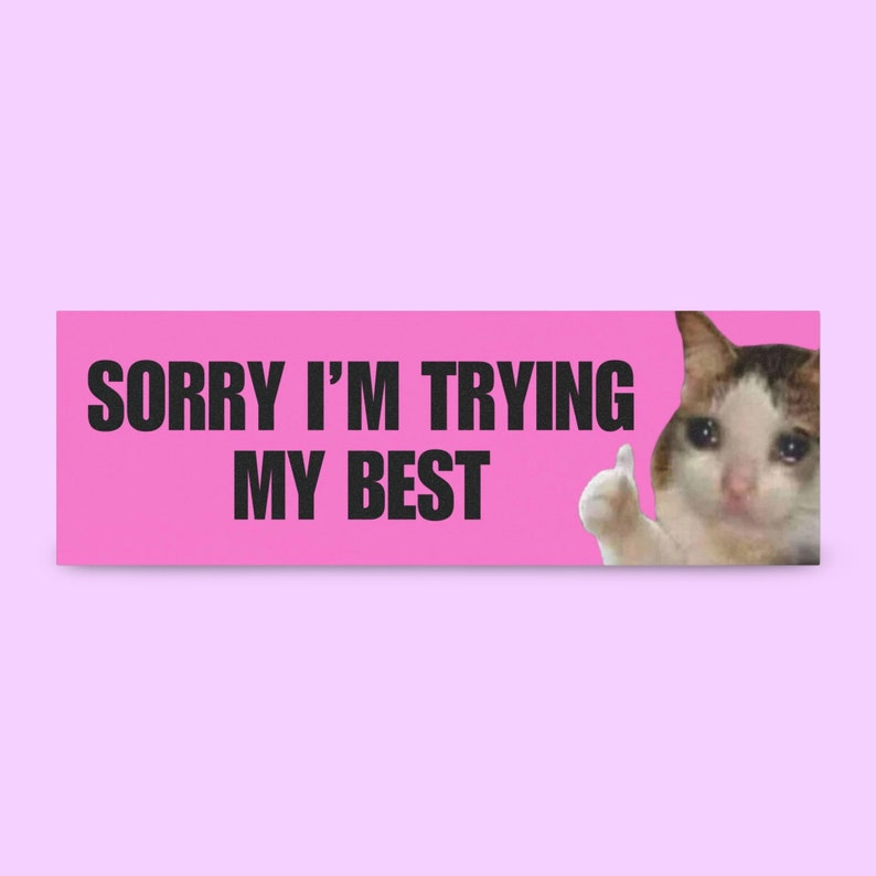 K&ouml;nnte beinhalten: Ein pinkfarbener Aufkleber mit dem Text "SORRY I'M TRYING MY BEST" in Schwarz. Das Bild zeigt ein Meme einer Katze mit traurigem Gesichtsausdruck und einem Daumen hoch auf der rechten Seite.