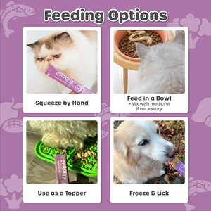 May include: Four images showing different ways to feed a pet a soft, purple, tube-shaped treat called "COOLIP" with the text "Appetite Vite Stick". The first image shows a cat licking the treat from the tube. The second image shows a cat eating from a bowl. The third image shows a dog eating from a green, three-sectioned, silicone mat. The fourth image shows a dog licking the treat from the tube.
