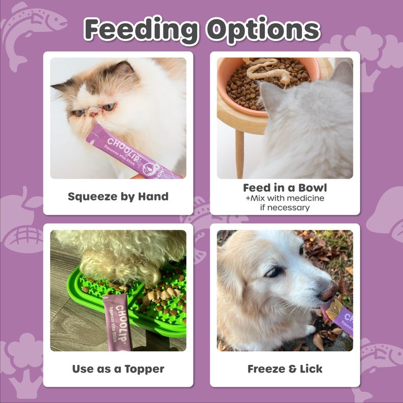 May include: Four images showing different ways to feed a pet a soft, purple, tube-shaped treat called "COOLIP" with the text "Appetite Vite Stick". The first image shows a cat licking the treat from the tube. The second image shows a cat eating from a bowl. The third image shows a dog eating from a green, three-sectioned, silicone mat. The fourth image shows a dog licking the treat from the tube.