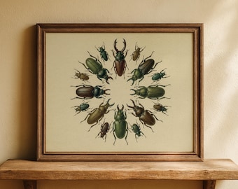 Vintage Beetle Collection Print Antique Entomology Illustration Insect Wall Art Natural History Poster Dark Academia Curiosity Cabinet Decor