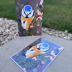 Little boy blue -blue tit/bird greetings card