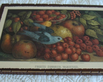 OnWood- 1 Side//Antique Currier & Ives Calendar Page Print.. 'Fruits Varieties' ...Last one.